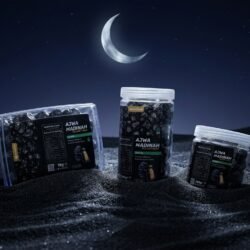Kurma Ajwa Jumbo Bandung (1)