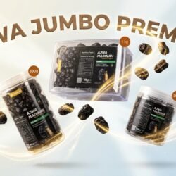 Kurma Ajwa Jumbo Bandung (10)