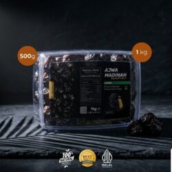Kurma Ajwa Jumbo Bandung (3)