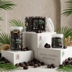 Kurma Ajwa Jumbo Bandung (5)
