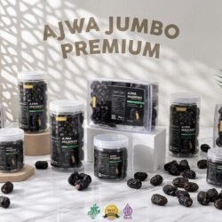Kurma Ajwa Jumbo Bandung (7)
