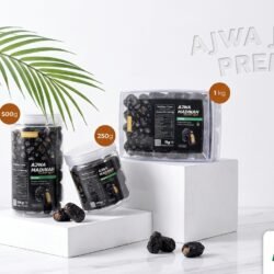 Kurma Ajwa Jumbo Bandung (8)