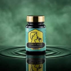 cordy herb untuk paru-paru pernapasan (2)