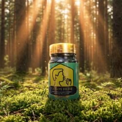 cordy herb untuk paru-paru pernapasan (5)