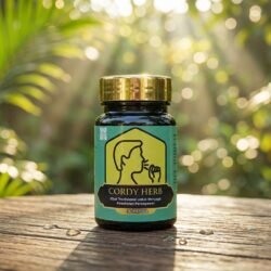 cordy herb untuk paru-paru pernapasan (6)