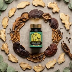 cordy herb untuk paru-paru pernapasan (7)