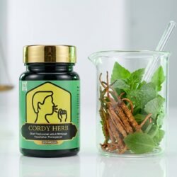 cordy herb untuk paru-paru pernapasan (8)